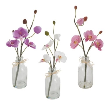Orchidea ve váze
