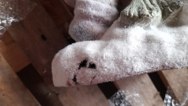 Holčička se stromkem 2. jakost