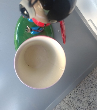 Beruška s květináčem kov
