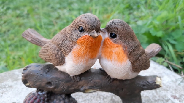 Ptáčci na větvi se žaludy