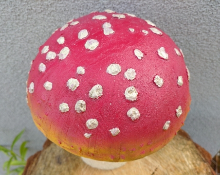 Houba muchomůrka velká