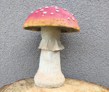 Houba muchomůrka velká