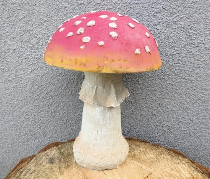 Houba muchomůrka velká