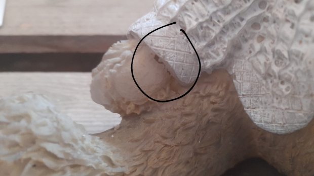 Medvěd polyston ve svetru 2.JAKOST