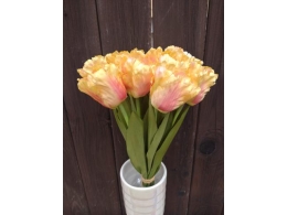 Tulipán růžovo žlutý