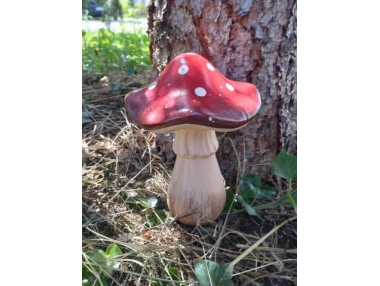 Muchomůrka keramická velká