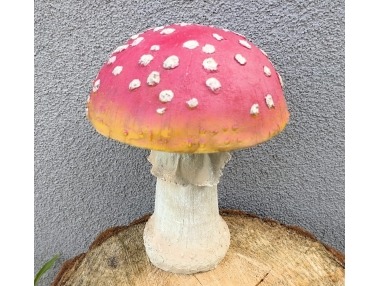 Houba muchomůrka velká