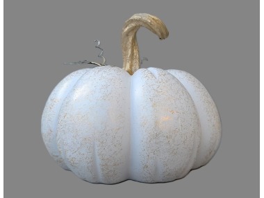 Dýně bílá zlatá stopka s lístky