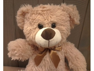 Medvěd plyšový s mašlí 3 druhy
