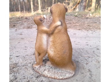 Surikaty pár velký