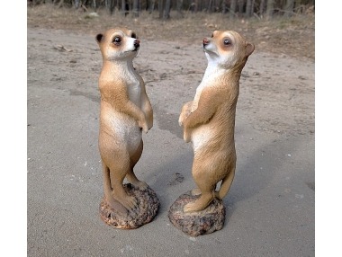 Surikata stojící střední 2 druhy