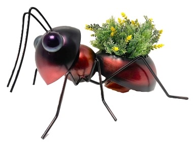 Mravenec hnědočervený s květníkem