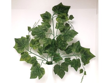 Větvička vinná réva velká