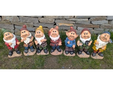 Trpaslík barevný velký 7 druhů