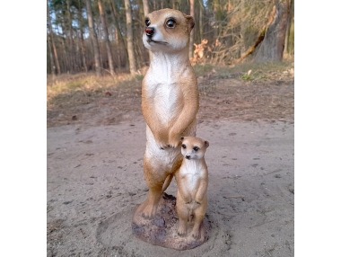 Surikata stojící s mládětem