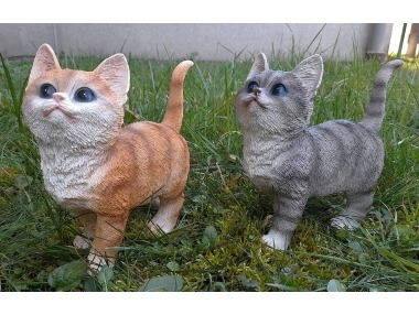 Kočka stojící 2 druhy