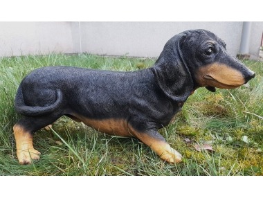 Pes jezevčík velký