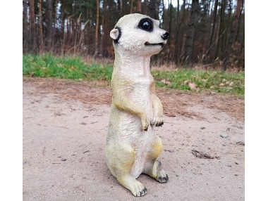 Surikata stojící střední