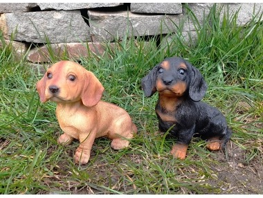 Pes jezevčík štěně 2 druhy