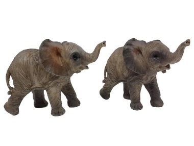 Slůně šedé 2 druhy