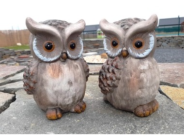 Sova hnědá 2 druhy