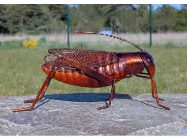 Saranče kovové velké