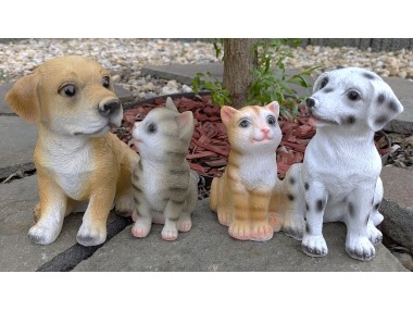 Kočka + pes pár sedící 2 druhy