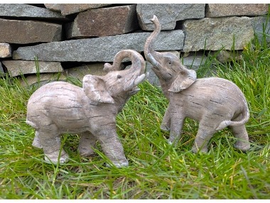 Slon šedý malý 2 druhy