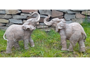 Slon šedý velký 2 druhy