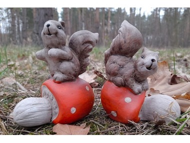 Veverka na houbě 2 druhy