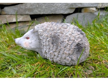 Ježek šedý větší