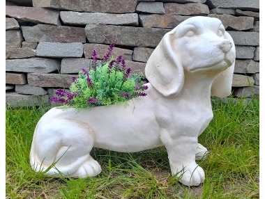 Pes jezevčík obal světlý