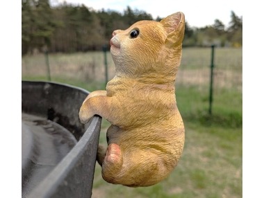 Kočka závěsná zrzavá